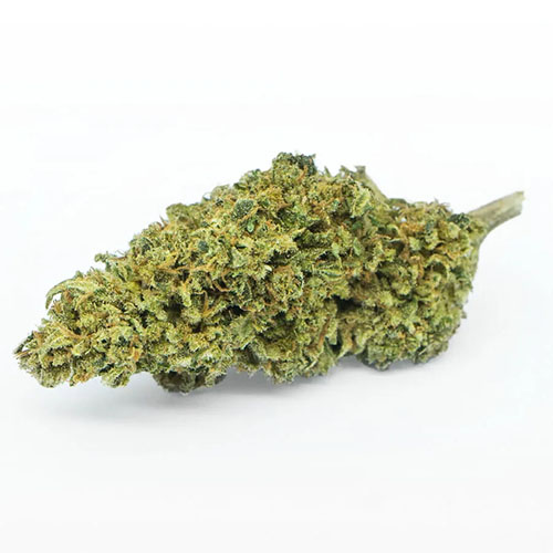 amnesia-haze-cannabis-light-hemp-cbd-migliore-qualita-prezzo-biologica-italiana