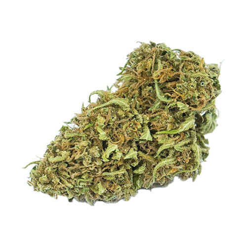pantown-cannabis-light-hemp-cbd-migliore-qualita-prezzo-biologica-italiana