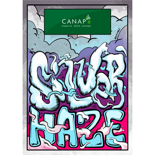 silver-haze-cannabis-light-hemp-cbd-migliore-qualita-prezzo-biologica-italiana-canape