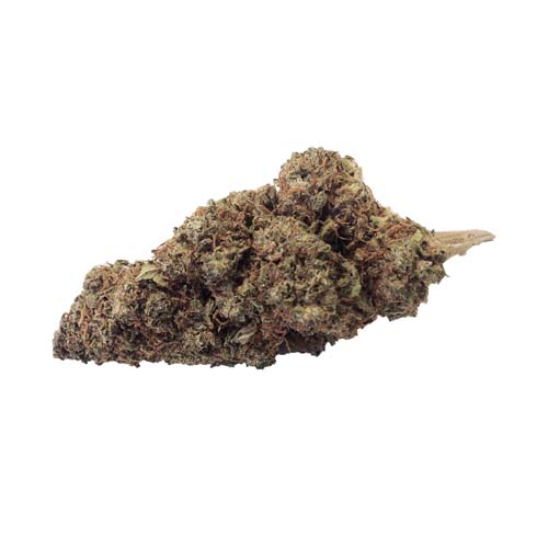 blueberry-cannabis-light-hemp-cbd-migliore-qualita-prezzo-biologica-italiana