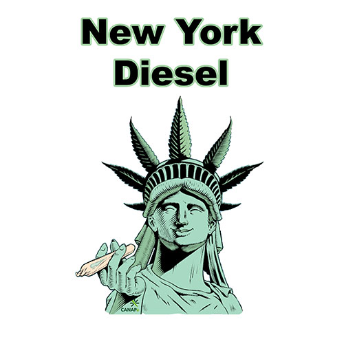 new-york-diesel-cannabis-light-hemp-cbd-migliore-qualita-prezzo-biologica-italiana-canape
