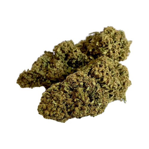 pineapple-express-cannabis-light-hemp-cbd-migliore-qualita-prezzo-biologica-italiana
