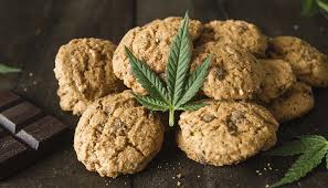 chocolate cannabis ookies