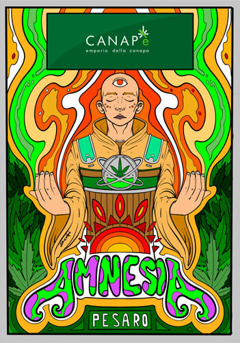 amnesia-haze-cannabis-light-hemp-cbd-migliore-qualita-prezzo-biologica-italiana-canape