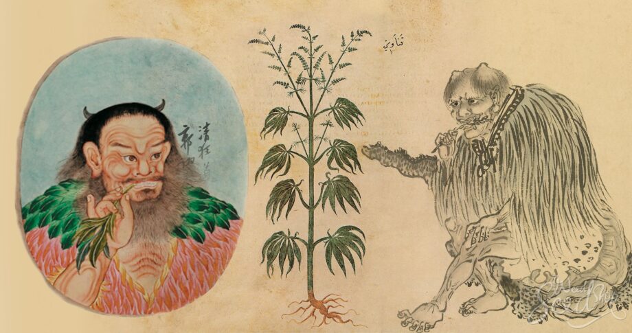 cannabis nella cultura orientale: medicina cinese