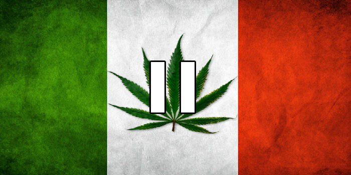 LEGALIZZAZIONE DELLA CANNABIS IN ITALIA