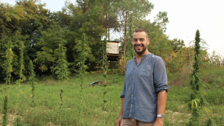 chi siamo canape pesaro canapa