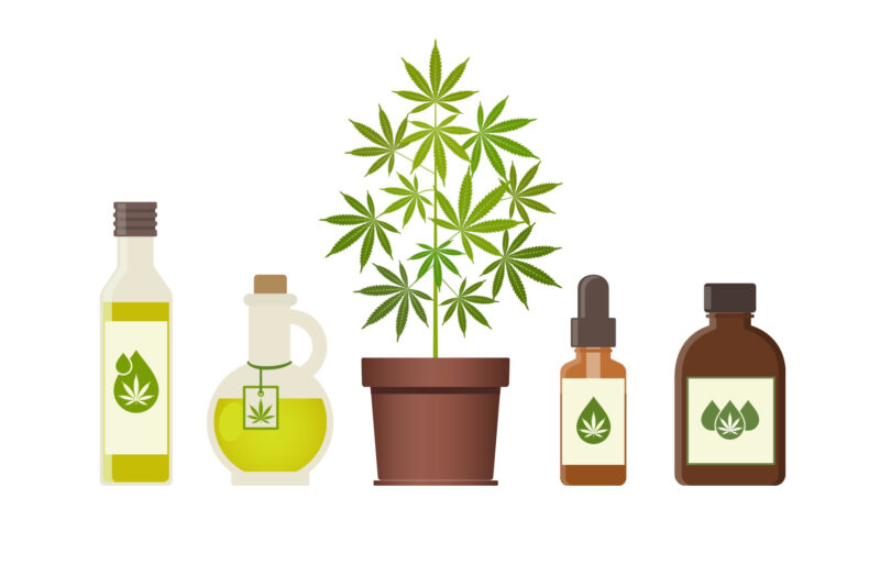 LA CANNABIS light IN ITALIA