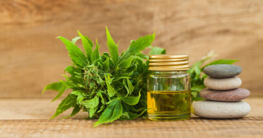 l-olio-di-canapa-cbd-nell-alimentazione
