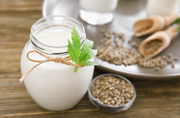 latte vegetale semi di canapa